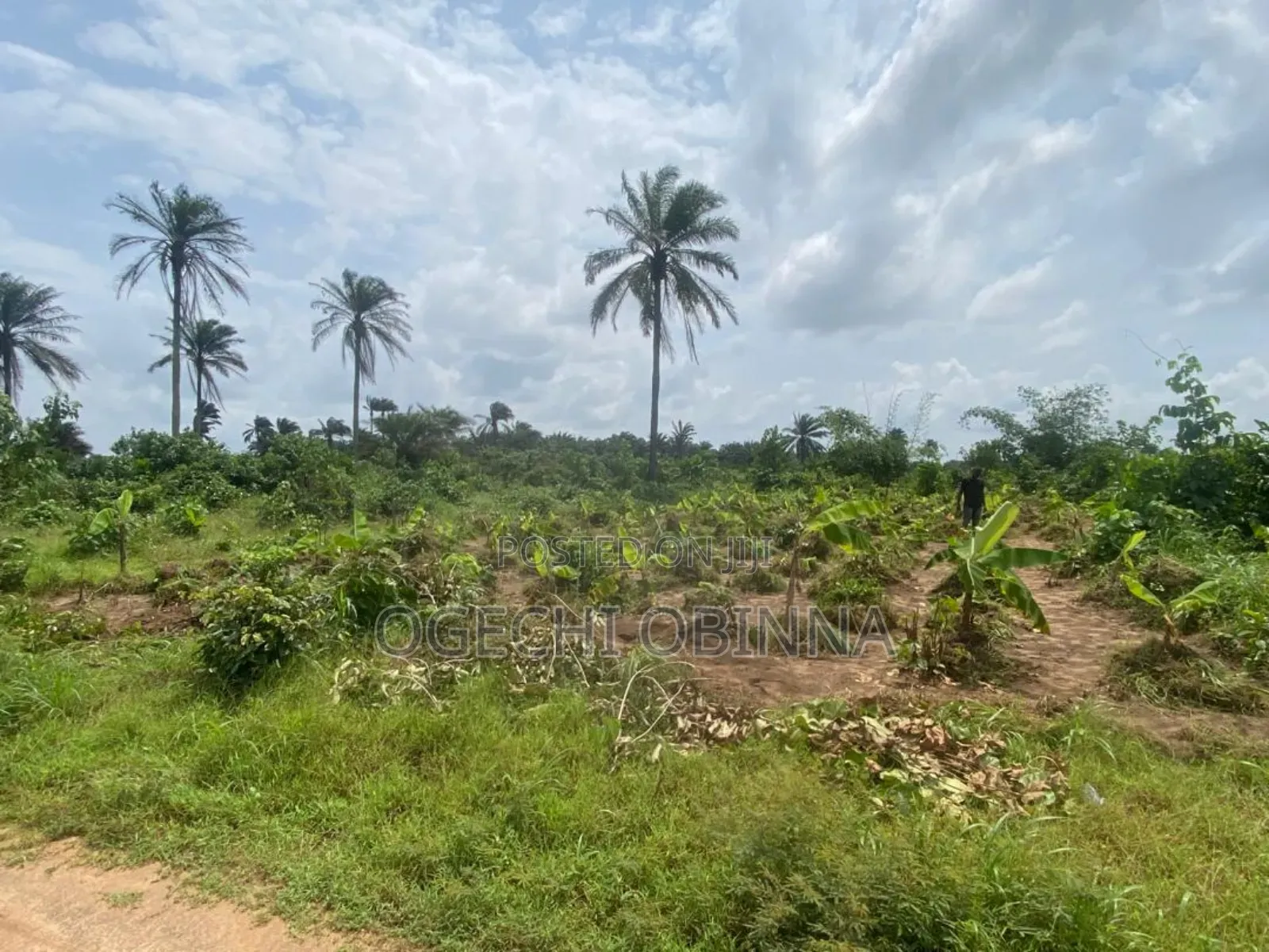 Hurry Now! Urgent Distress Sale of One Plot
