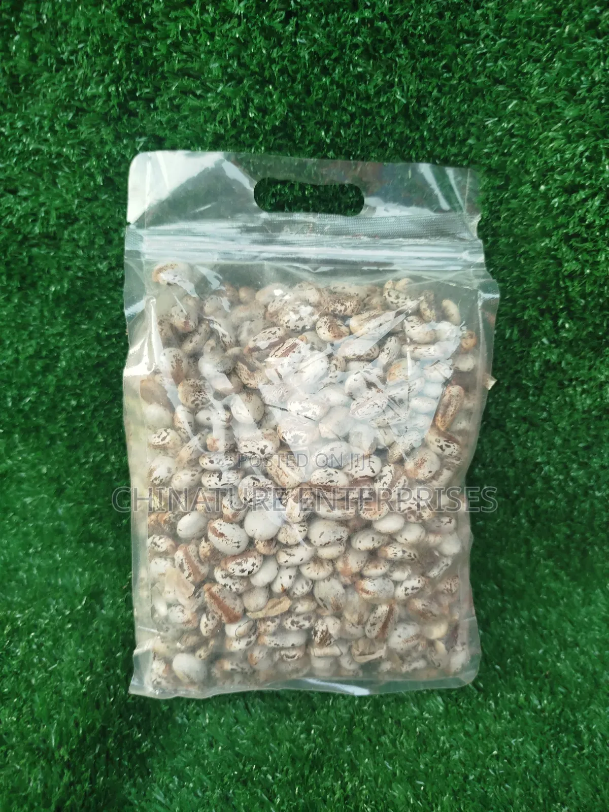 Castor Seeds 1kg