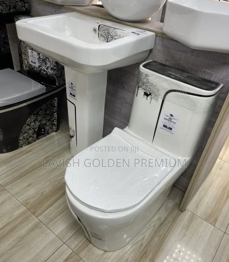 Morden Dual-Flushing Wc With Standing Wash Hand Basin