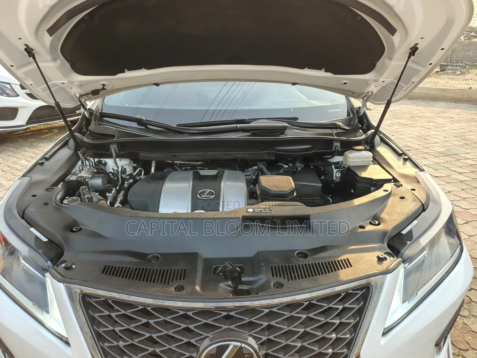 Lexus RX 2022 White