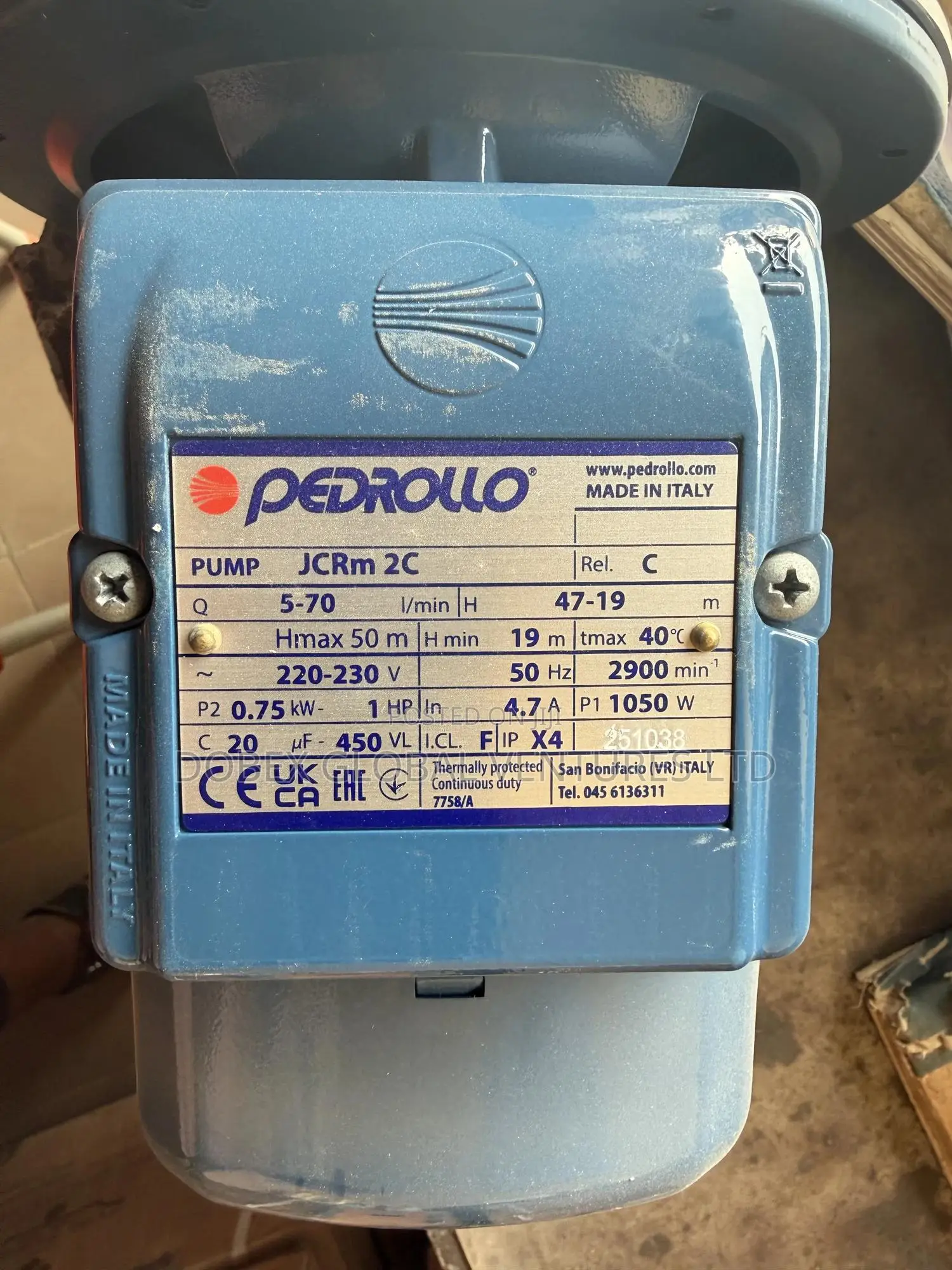 1hp Pedrollo Stainless Surface