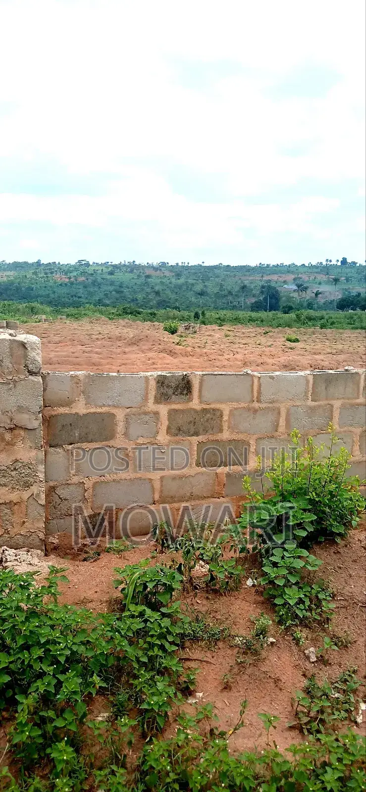 Start Your Land Journey Where Smart Owners Begin — St. Kitts, Ibusa.”