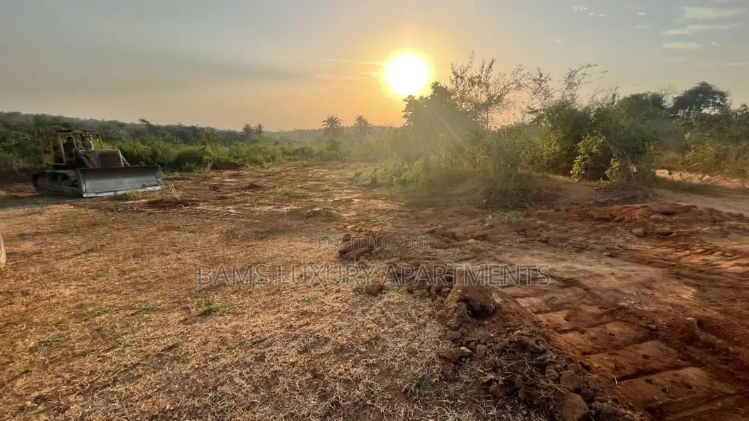 Buy 5plots and Get 1 Fee, Affordable Property for Investment With Cofo