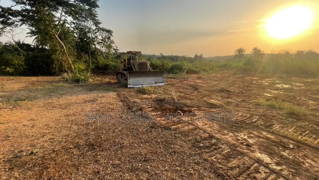 Buy 5plots and Get 1 Fee, Affordable Property for Investment With Cofo