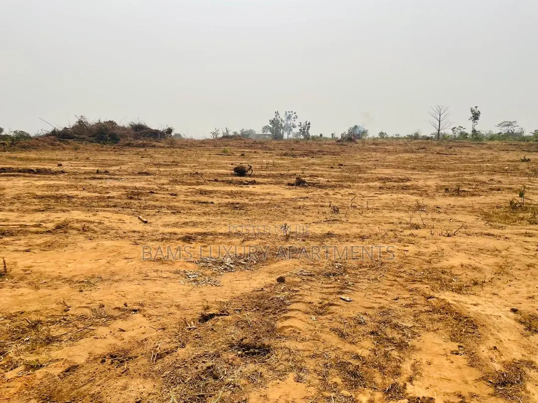 Buy 5plots and Get 1 Fee, Affordable Property for Investment With Cofo
