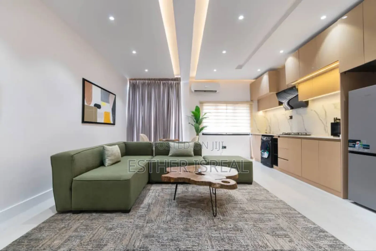 Green 1 Bedroom Apartment Phase1