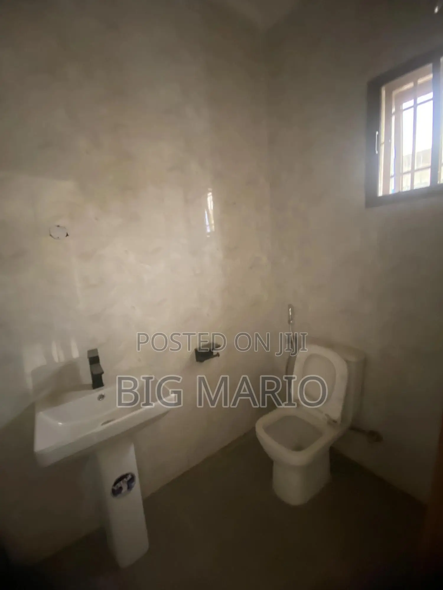 5bdrm Duplex in Asokoro Main for rent
