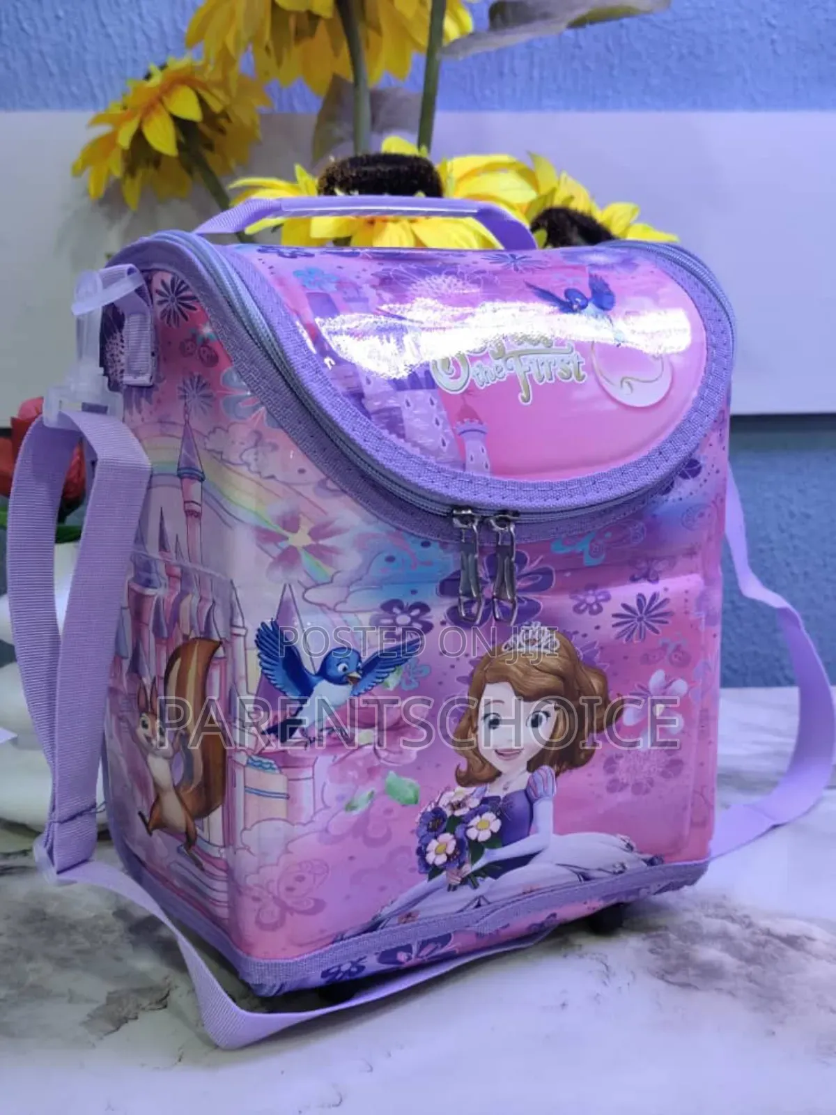 Character Lunch Bag