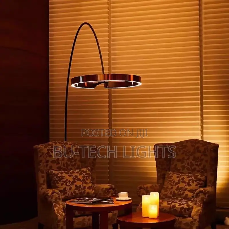 Luxury Ring Led Standing Lamp