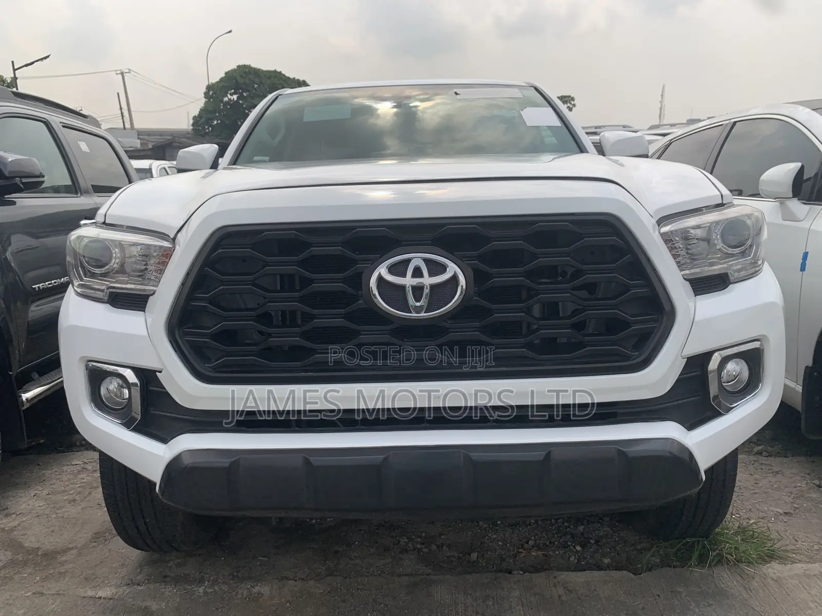 Toyota Tacoma 2023 White