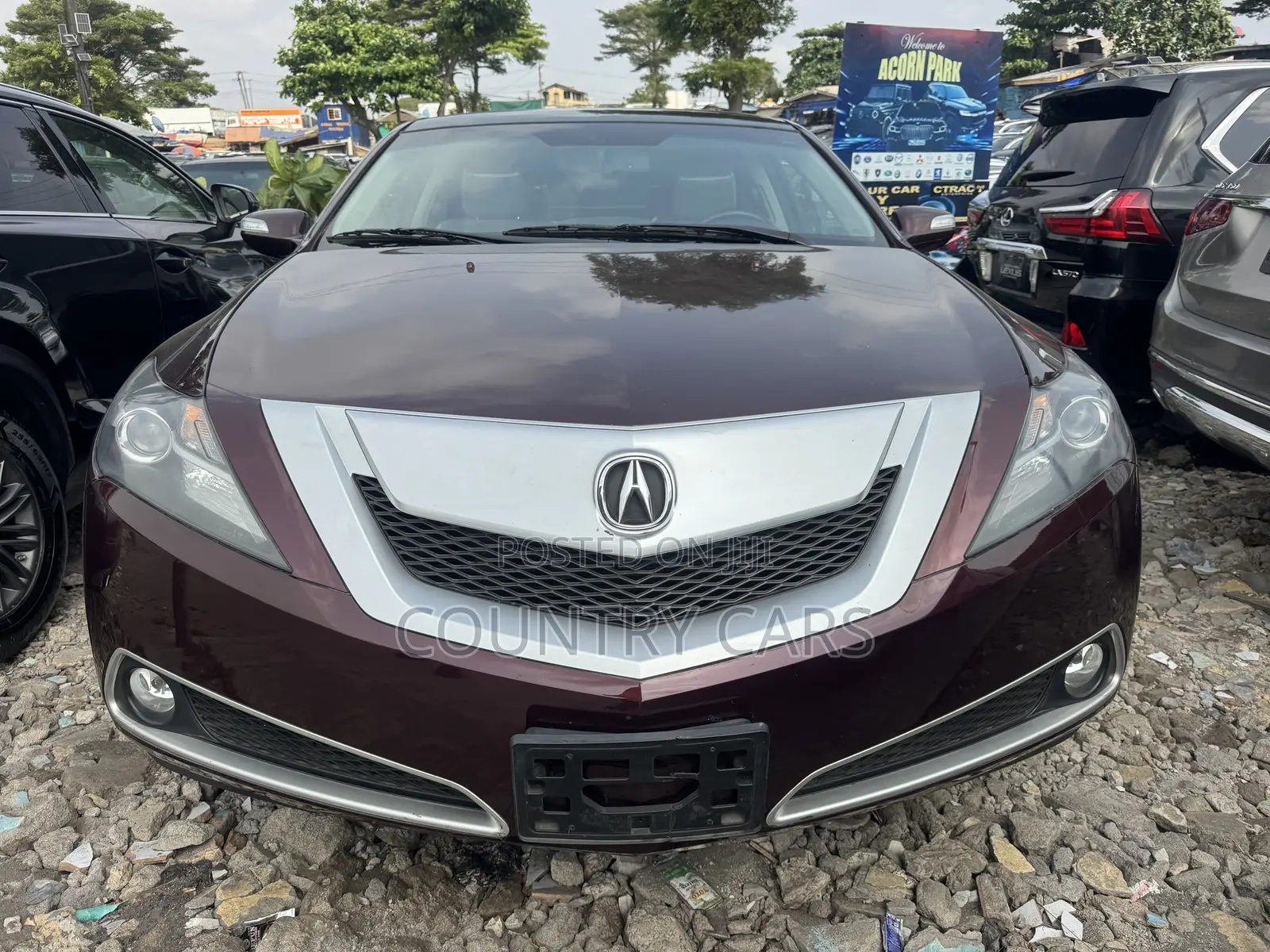 Acura ZDX Base AWD 2011 Burgundy