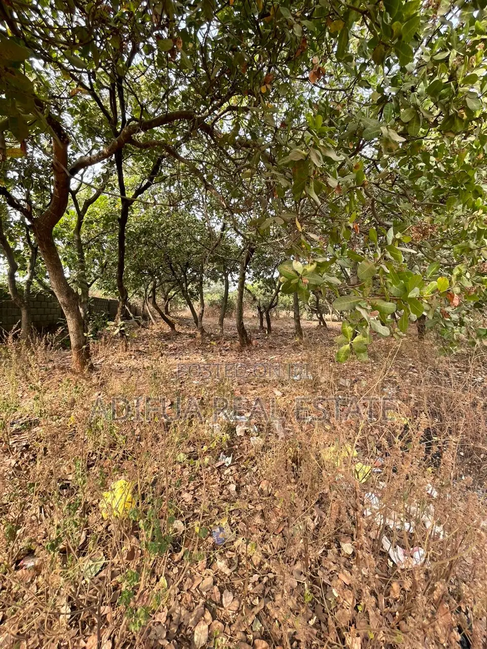 450sqm With C of O for Sale