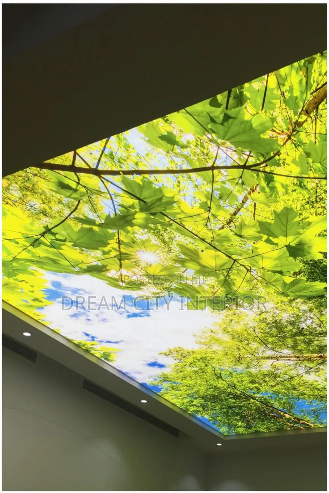 3d Stretch Ceiling Designs