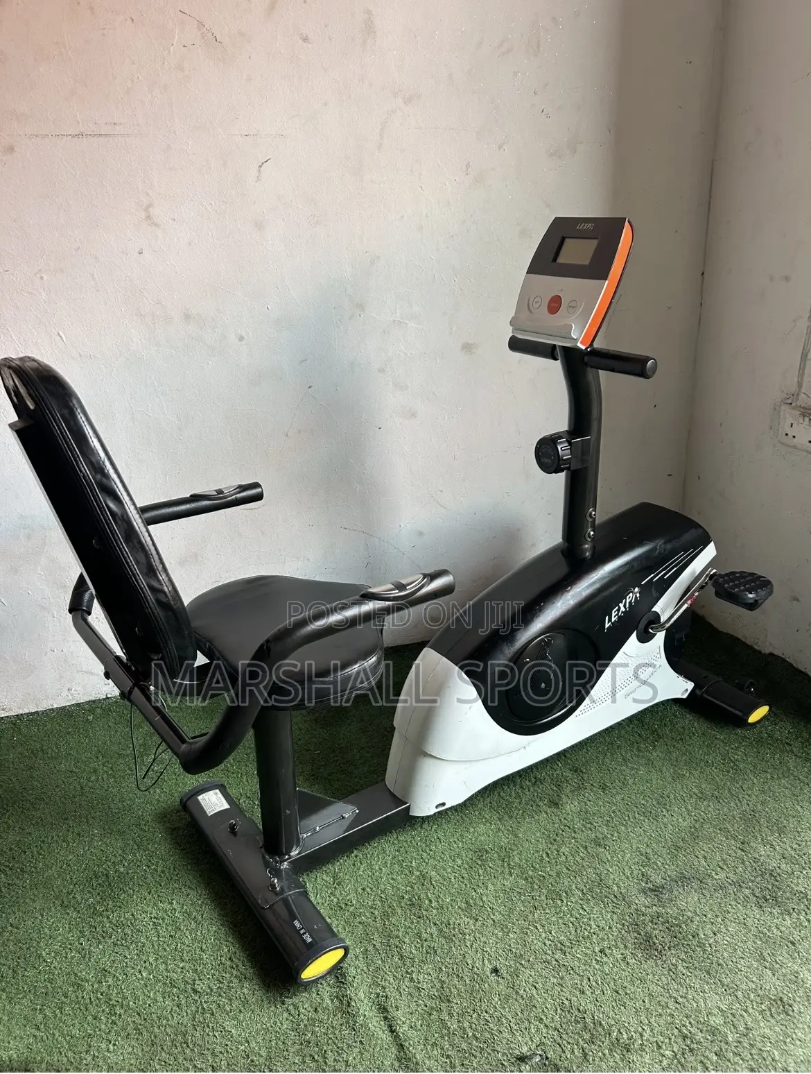 Recumbent Bike