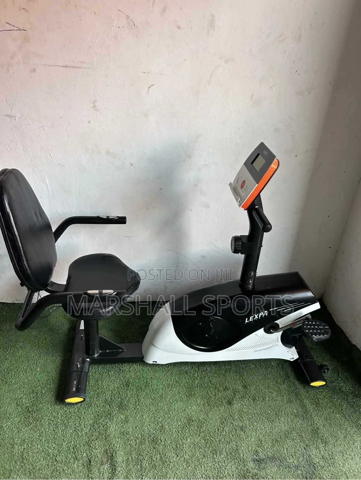 Recumbent Bike