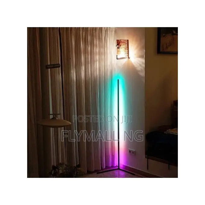 Modern Minimalist Edge Floor Corner Standing Lamp RGB Color