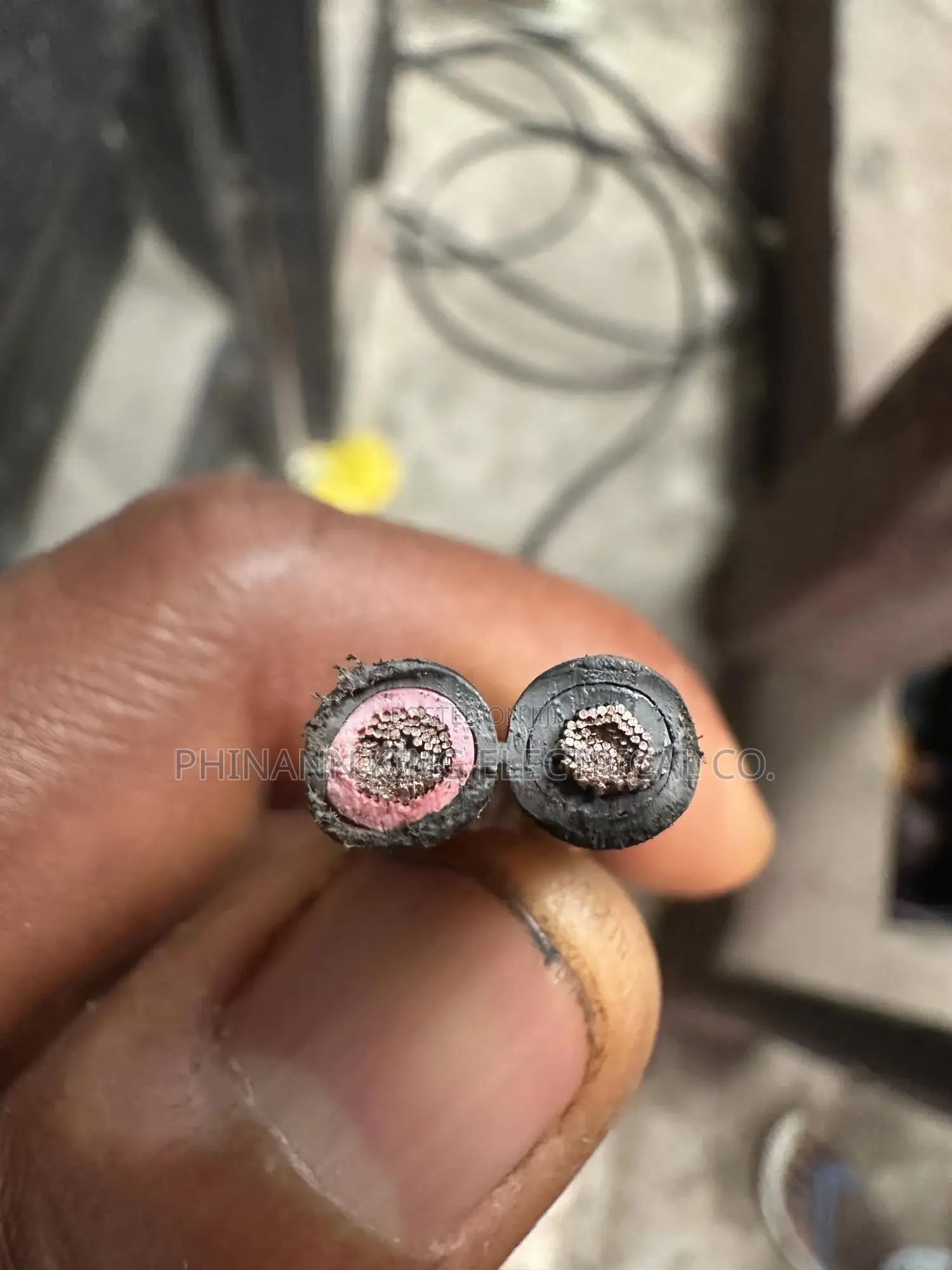 Coleman Electric Cable Fiex 10mm by 2core
