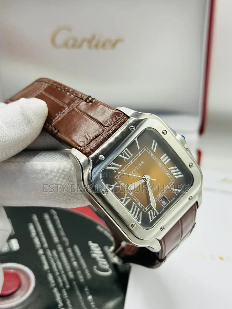 Automatic Cartier D Santos Leather Watch Stainless Steel