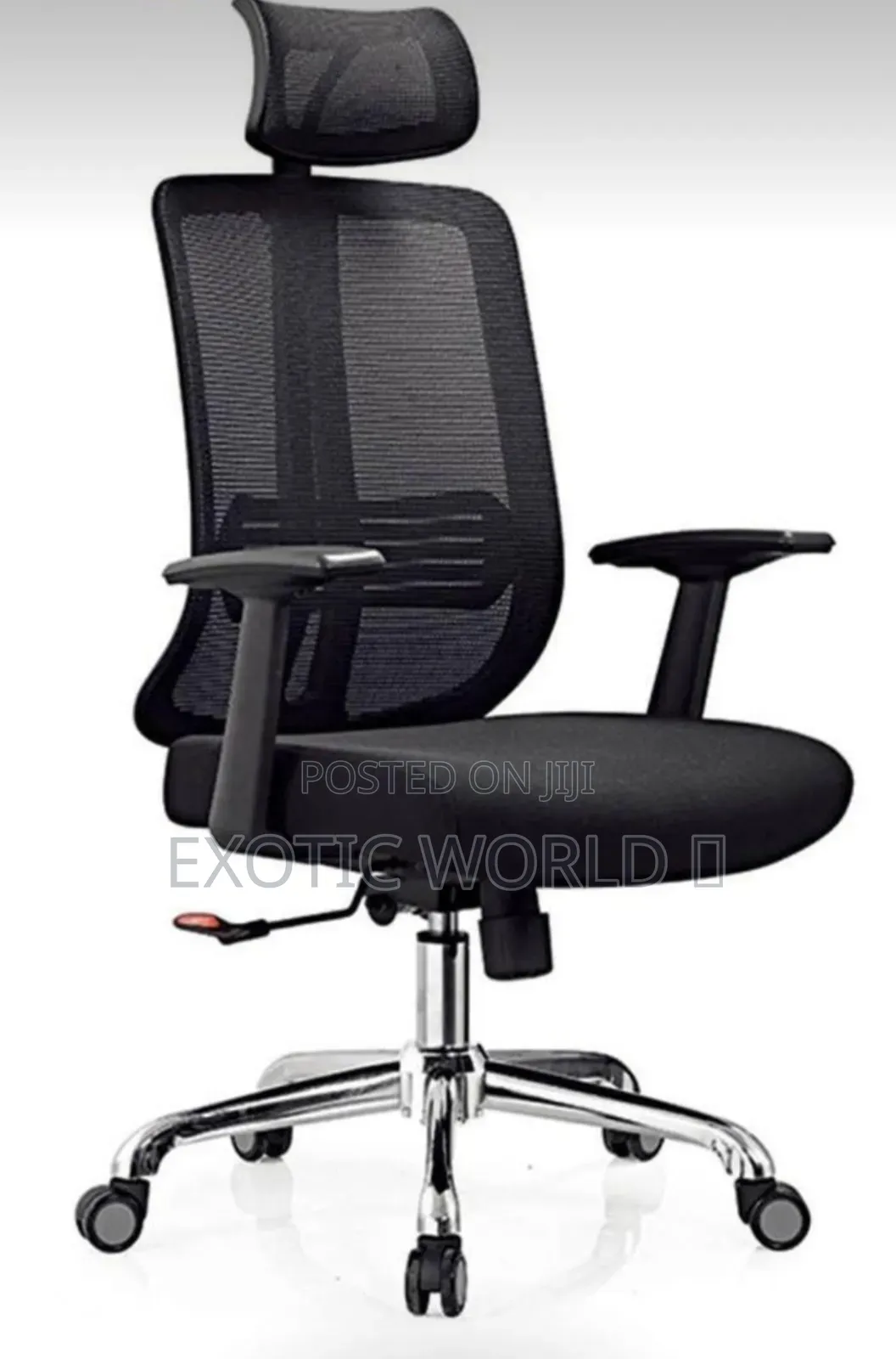 Exotic Luxury Chair