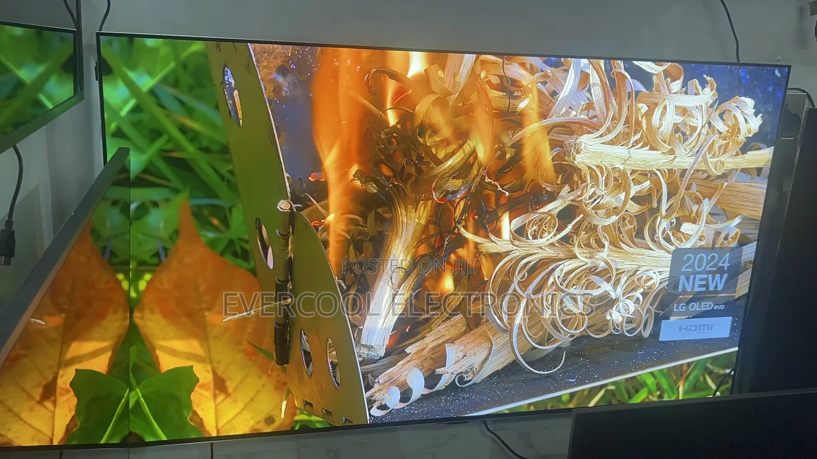 High-End 55” Lg Oled Evo G4 Gaming Smart Tv With Nvidia G-Sync