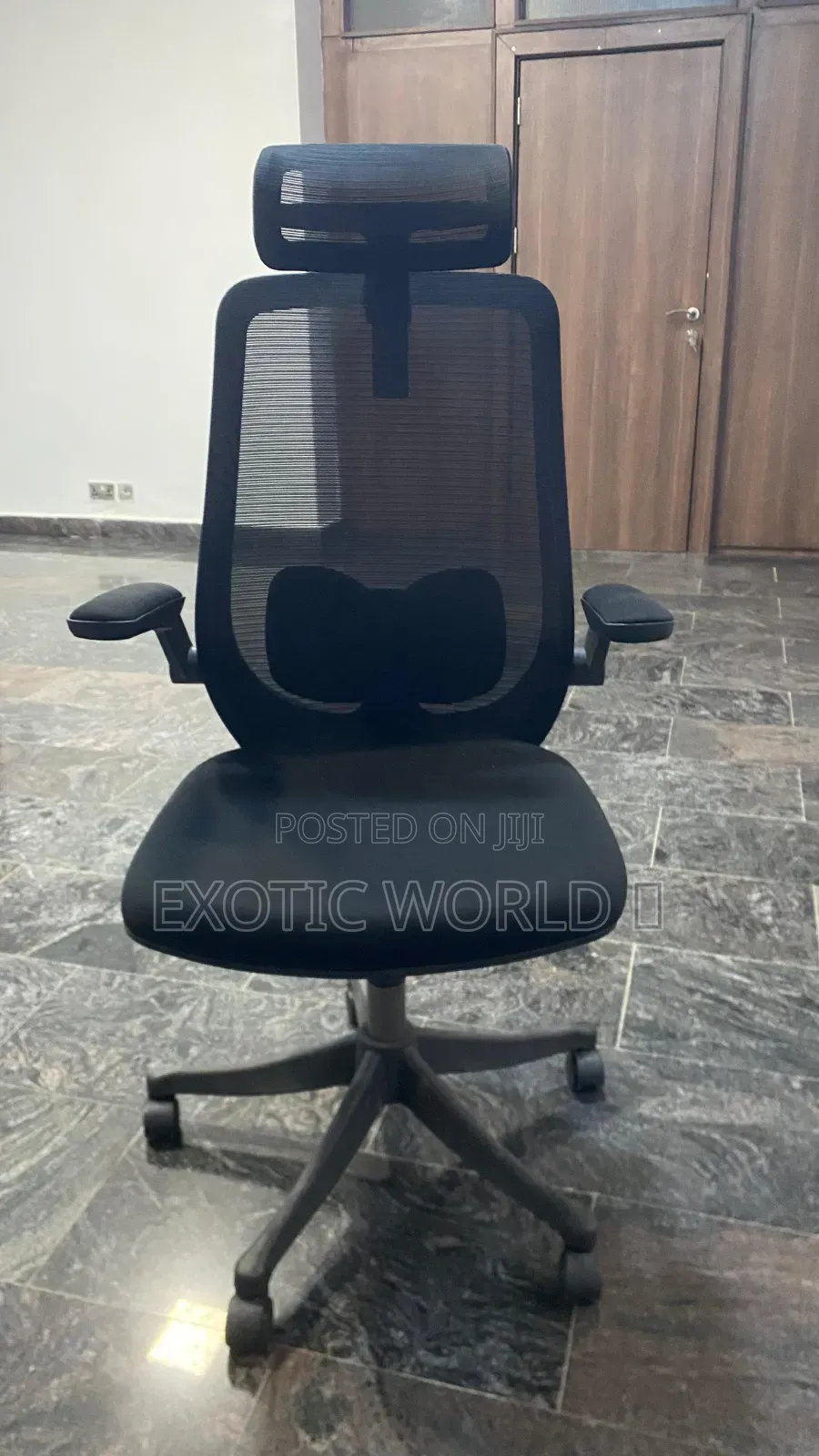 Exotic Furniture Office Chairs