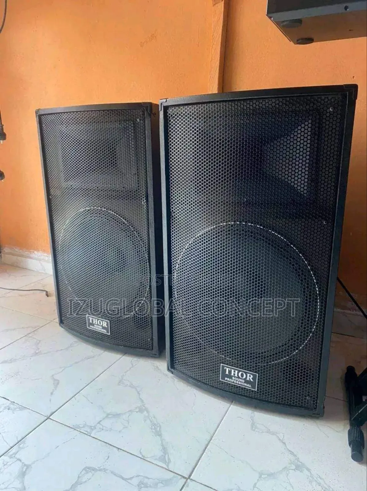 15"Inches Thor Single Speaker
