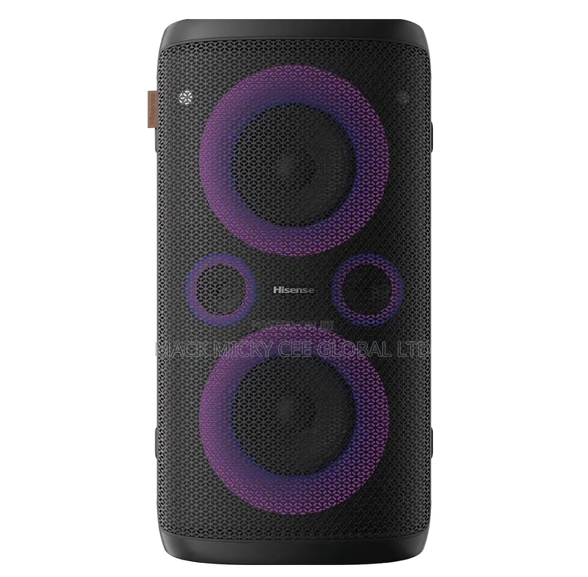Hisense Party Rocker Speaker 300w (Hp110)