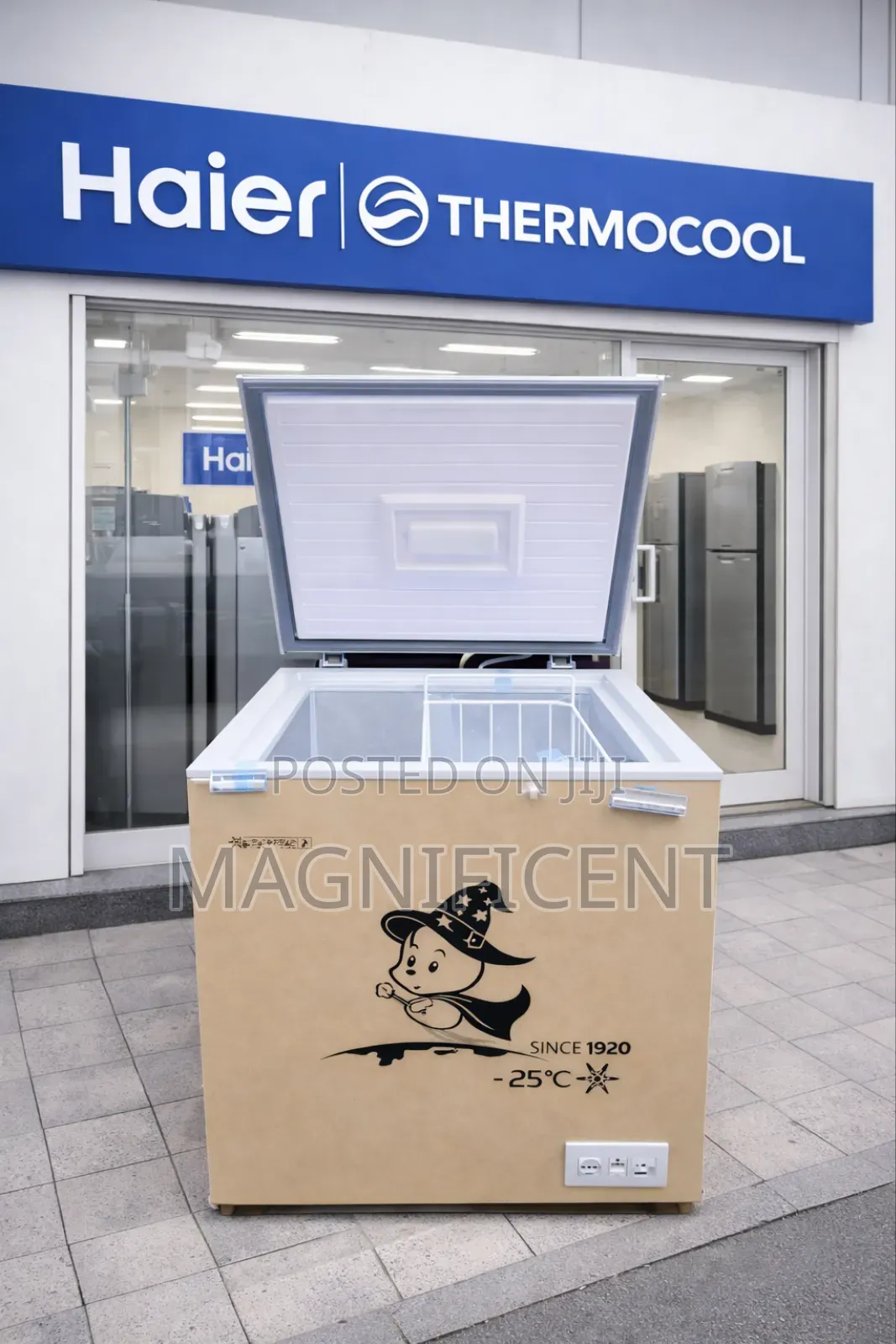 Original Inverter Brand New 150l Haire Thermocool Deep Freezer
