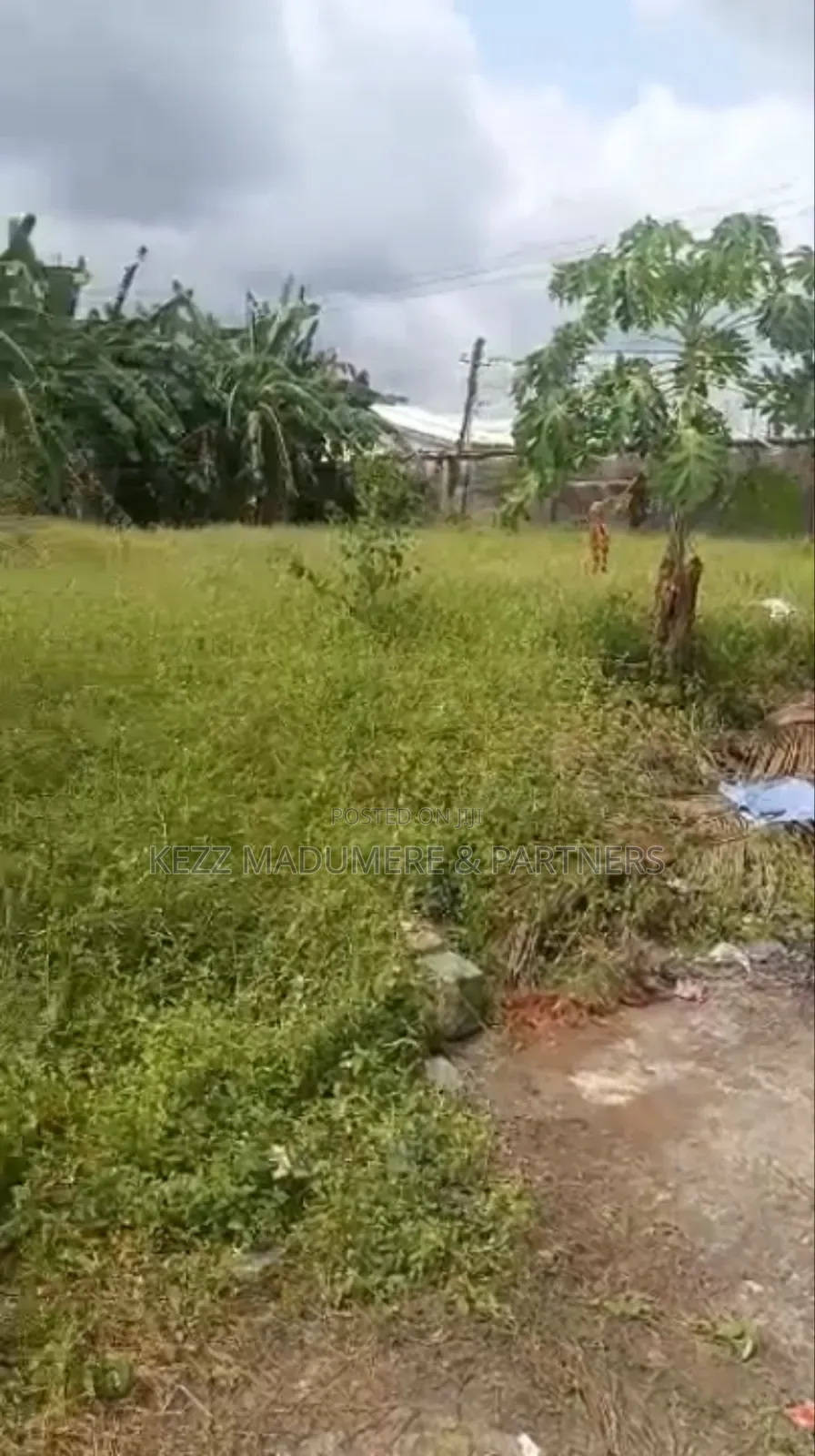 For Sale : Cofo 56 Fenced Plots at Trans Amadi, Ph