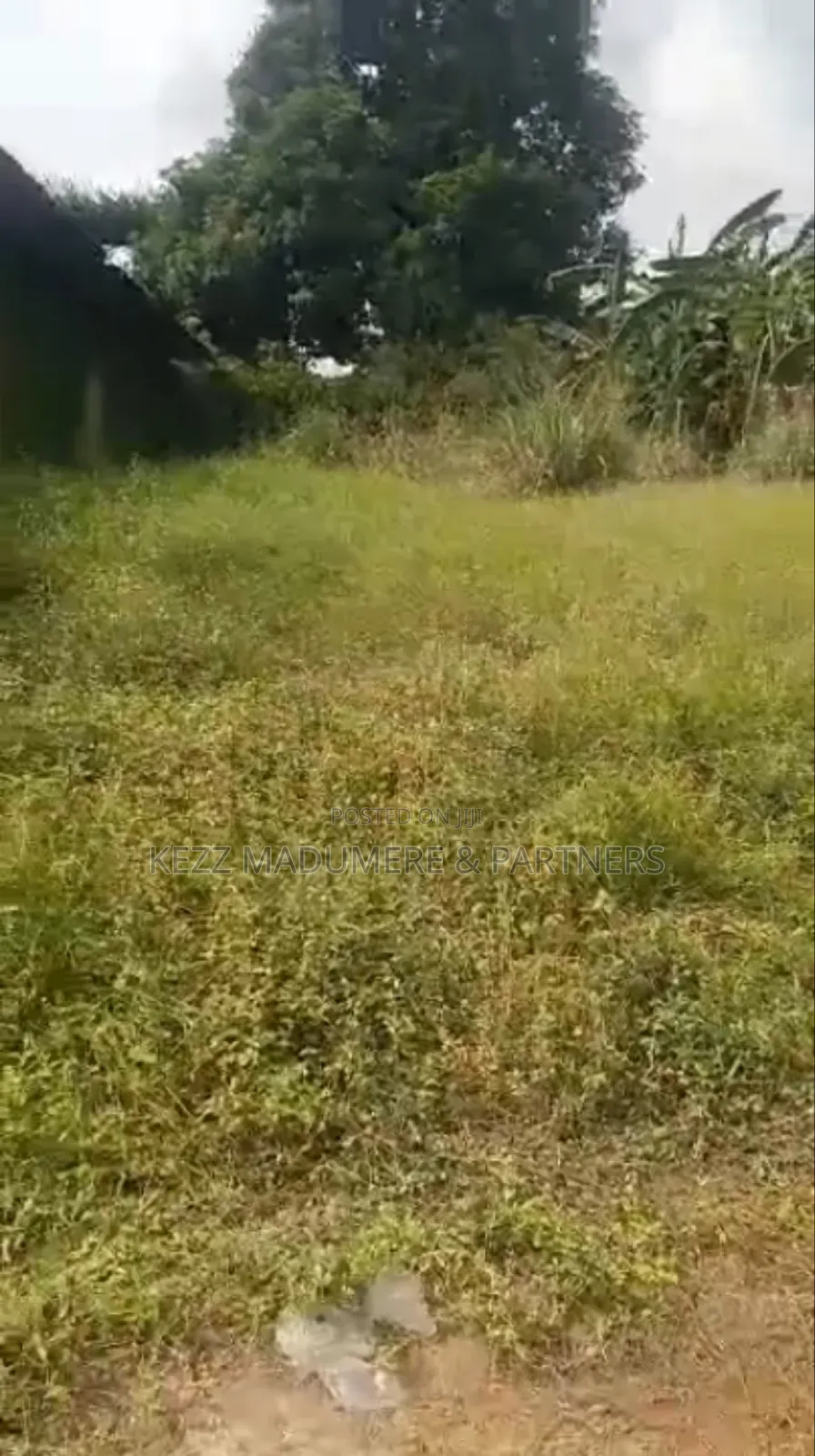 For Sale : Cofo 56 Fenced Plots at Trans Amadi, Ph