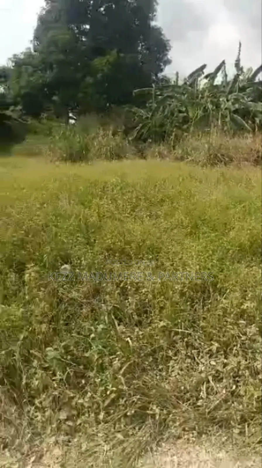 For Sale : Cofo 56 Fenced Plots at Trans Amadi, Ph