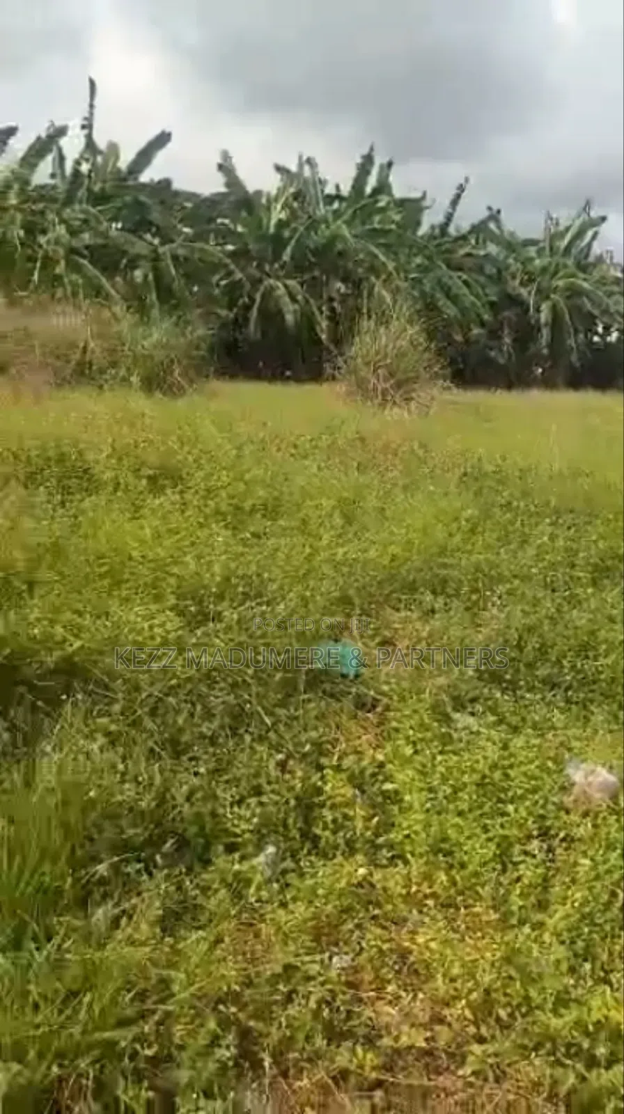For Sale : Cofo 56 Fenced Plots at Trans Amadi, Ph