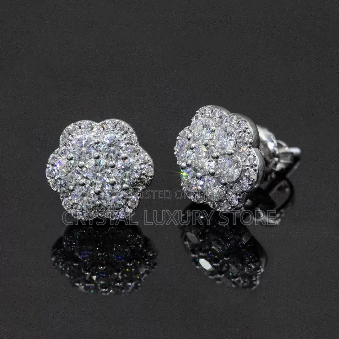 Moissanite Diamond Quality Luxury Earring Passes the Diamond Test