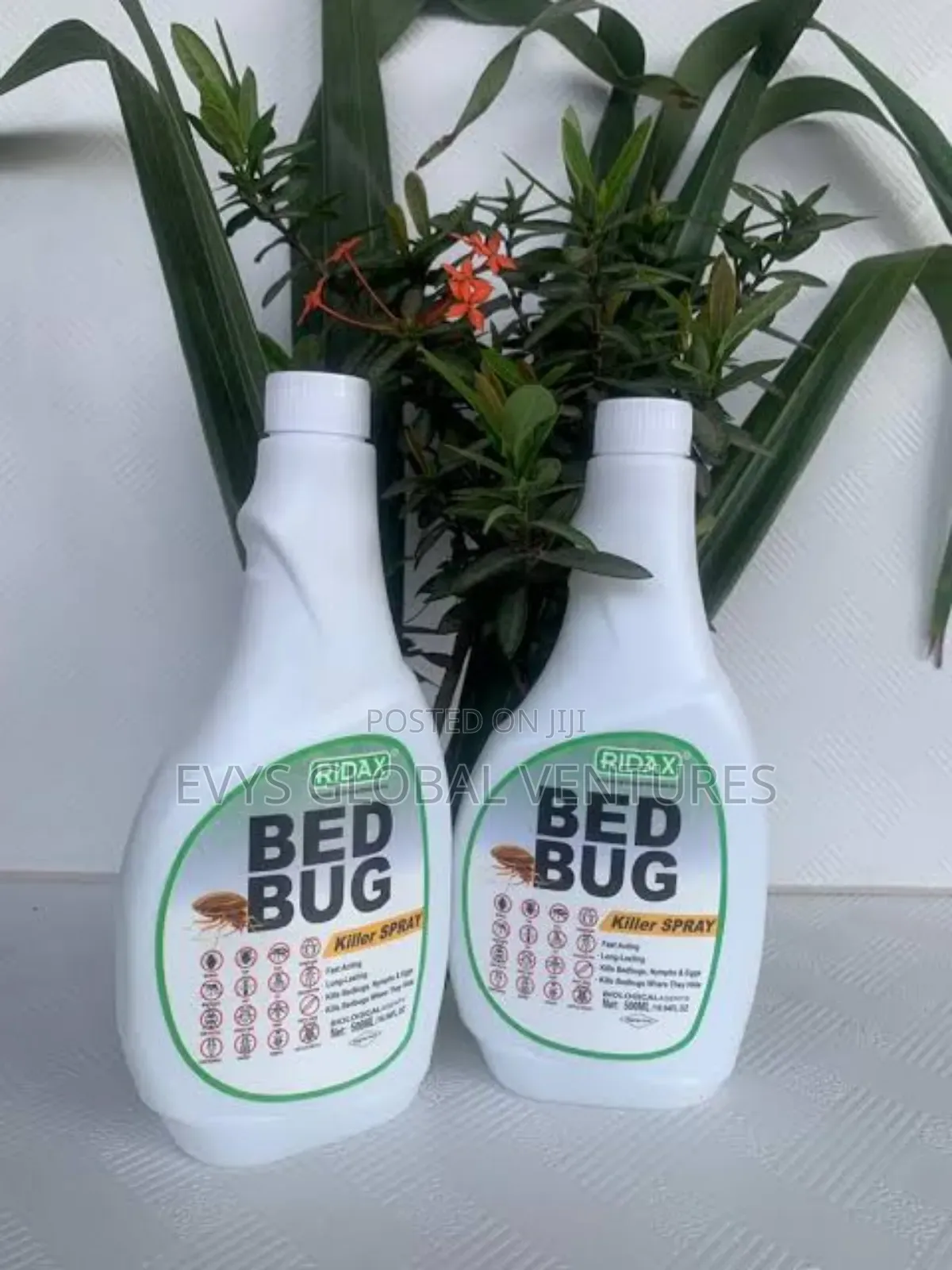 Ridax Bedbugs Killer Spray