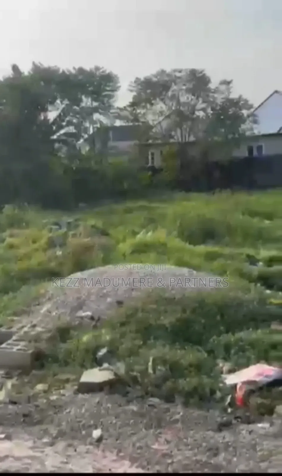 To Let / Lease: 4 Plots in Old Gra, Ph