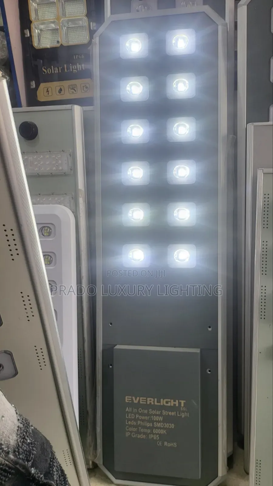Everlight Solar 100watts