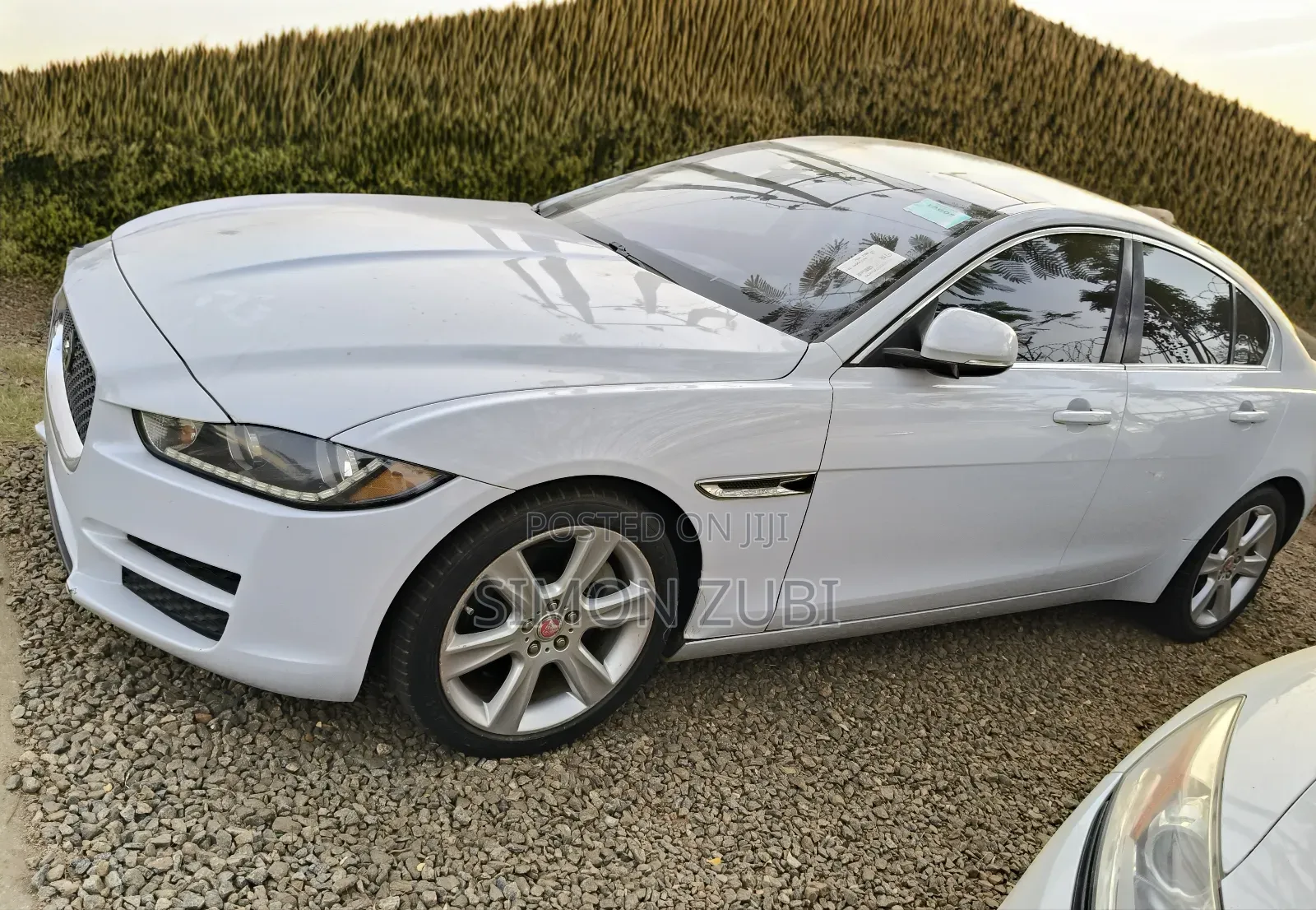 Jaguar XE 2016 White