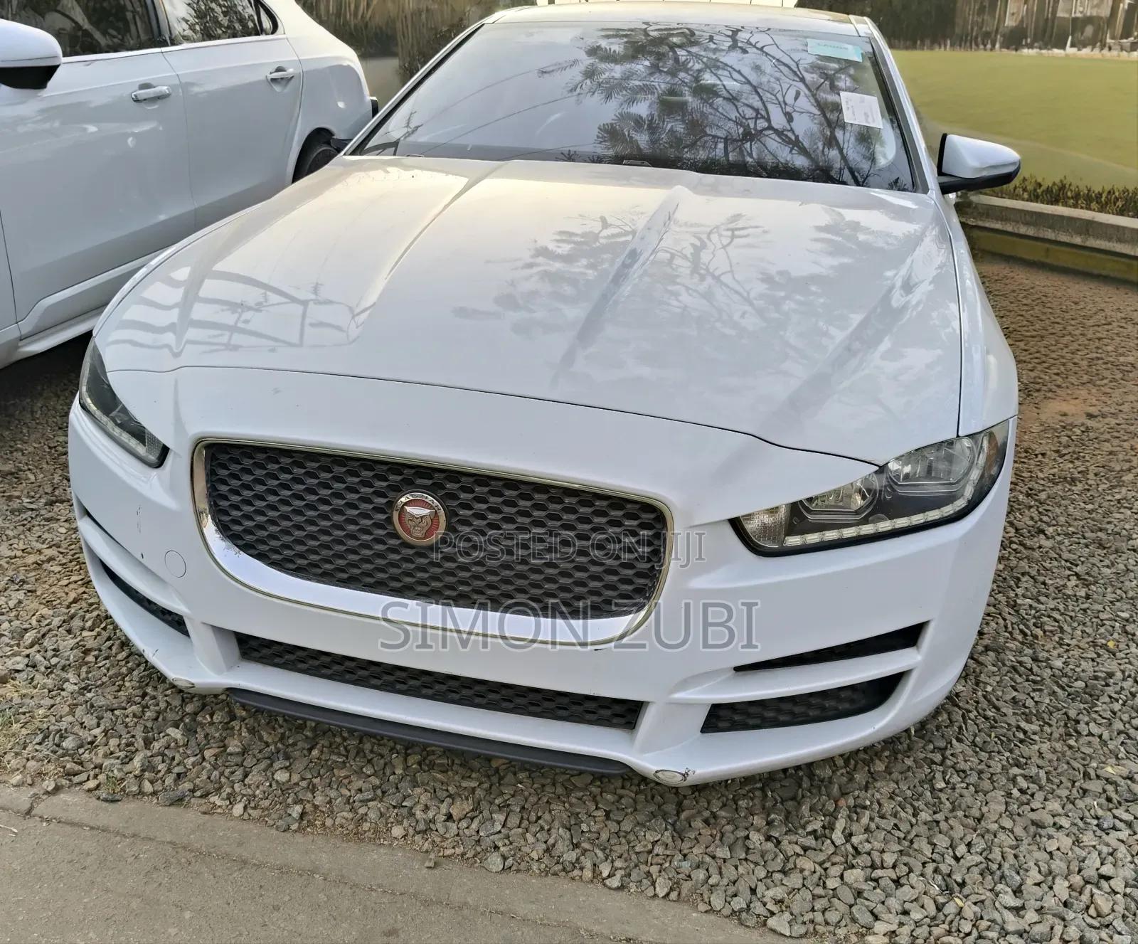 Jaguar XE 2016 White