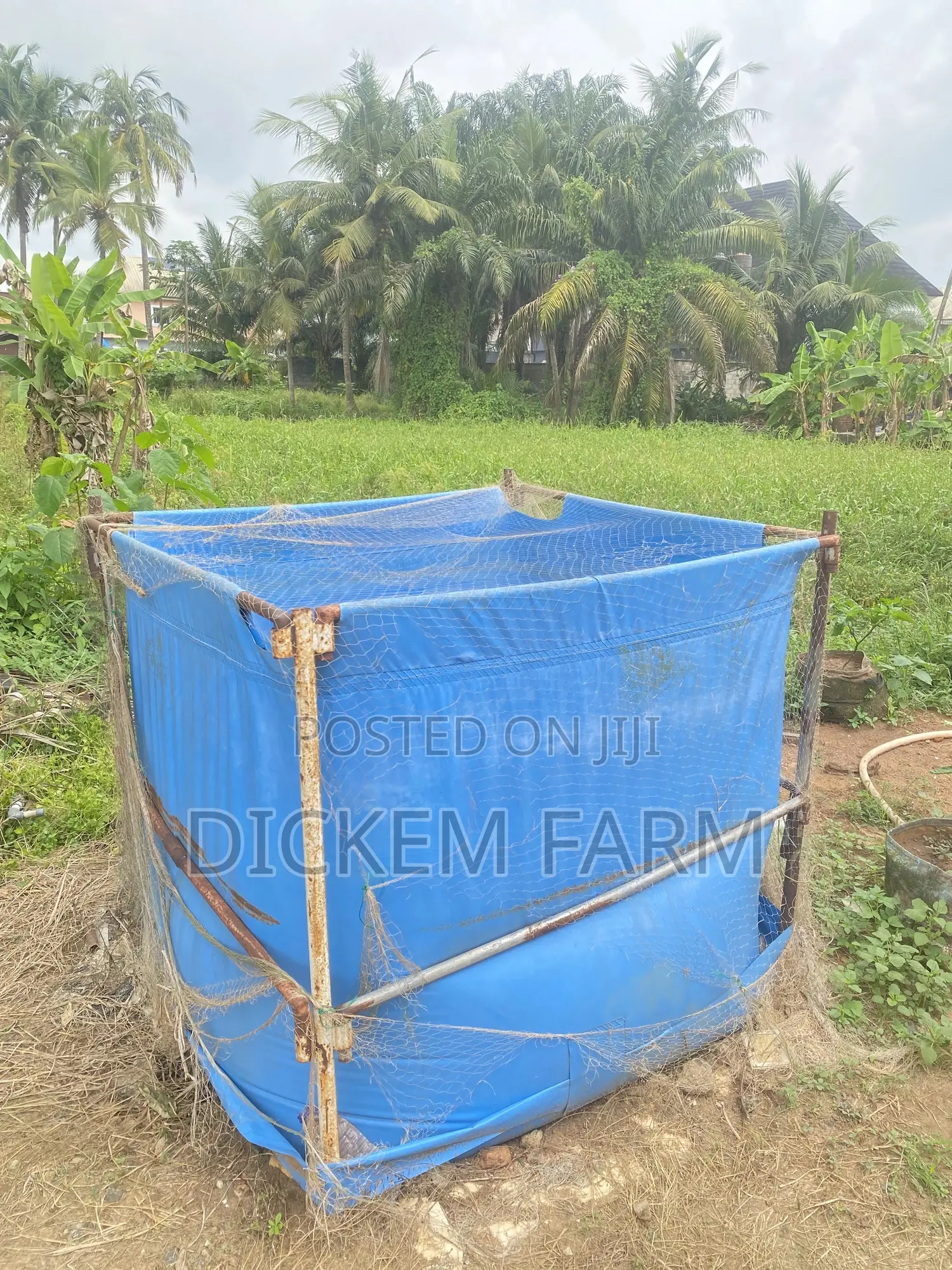 Mobile Fish Pond 4x4x4ft