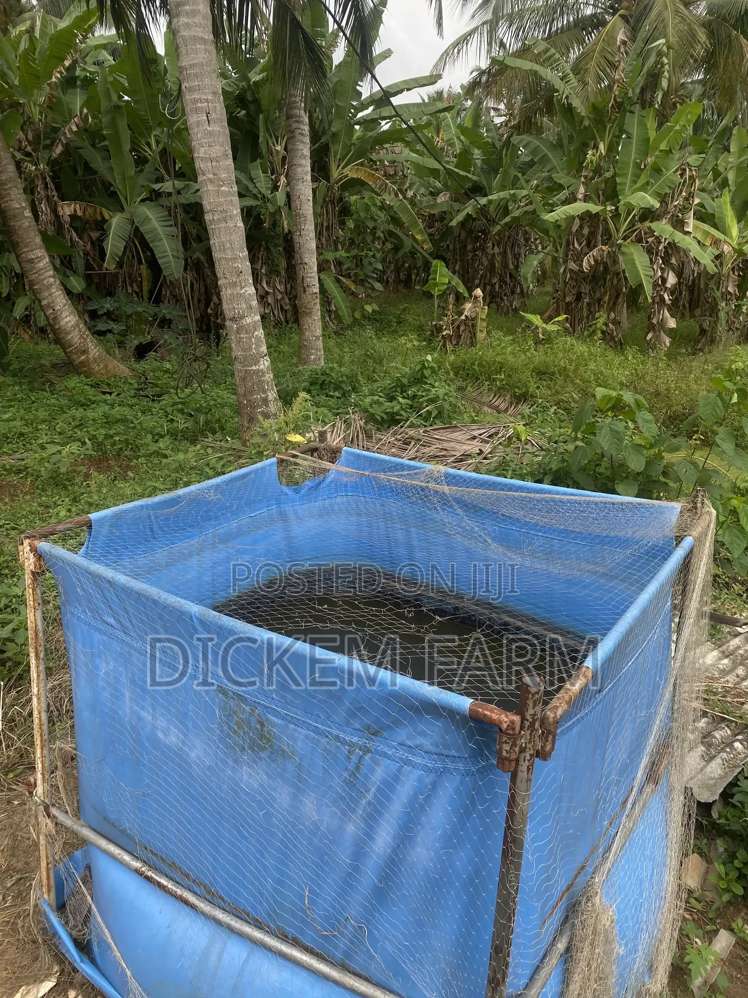 Mobile Fish Pond 4x4x4ft