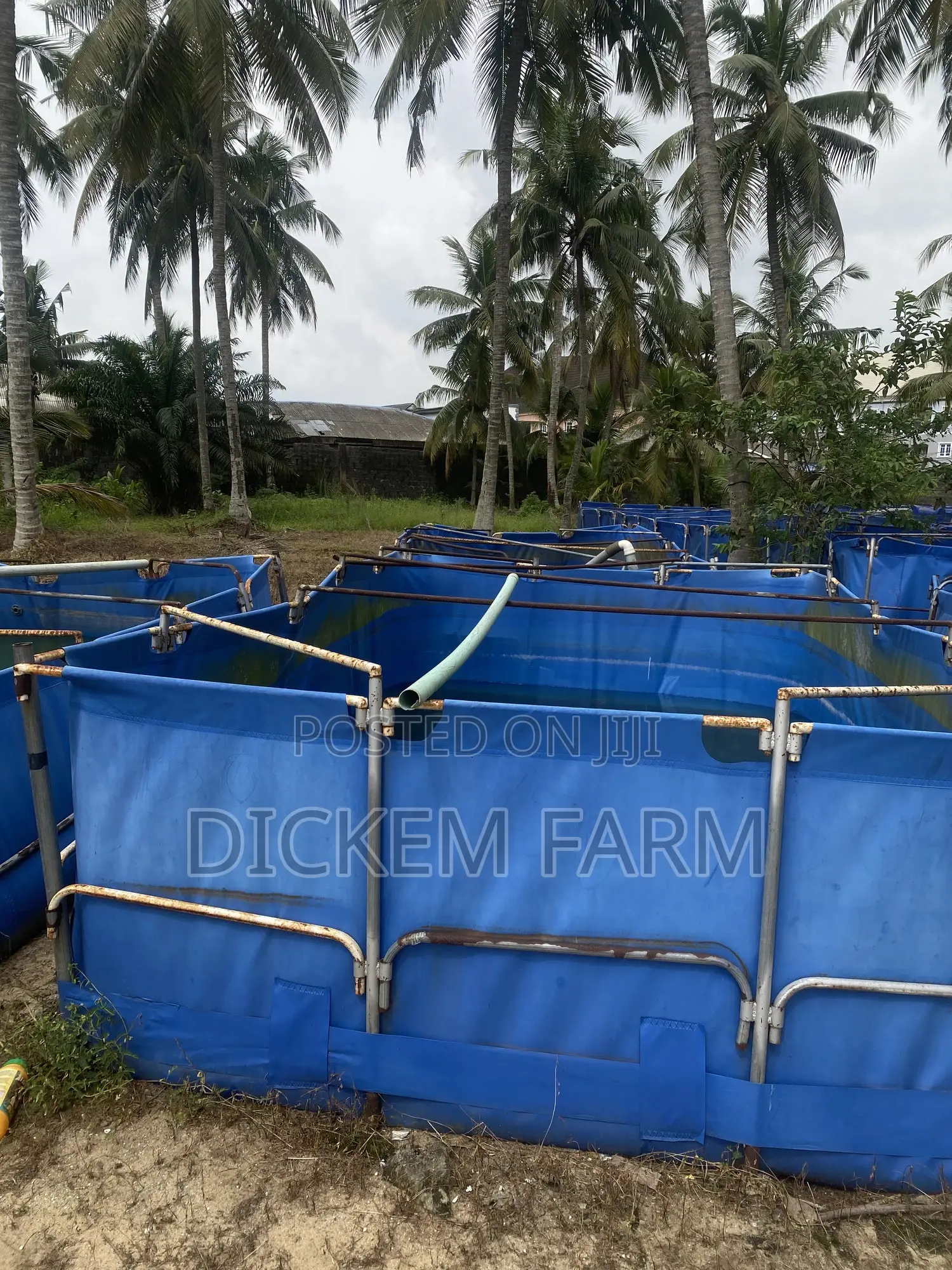 Mobile Fish Pond 9 X 15 Ft
