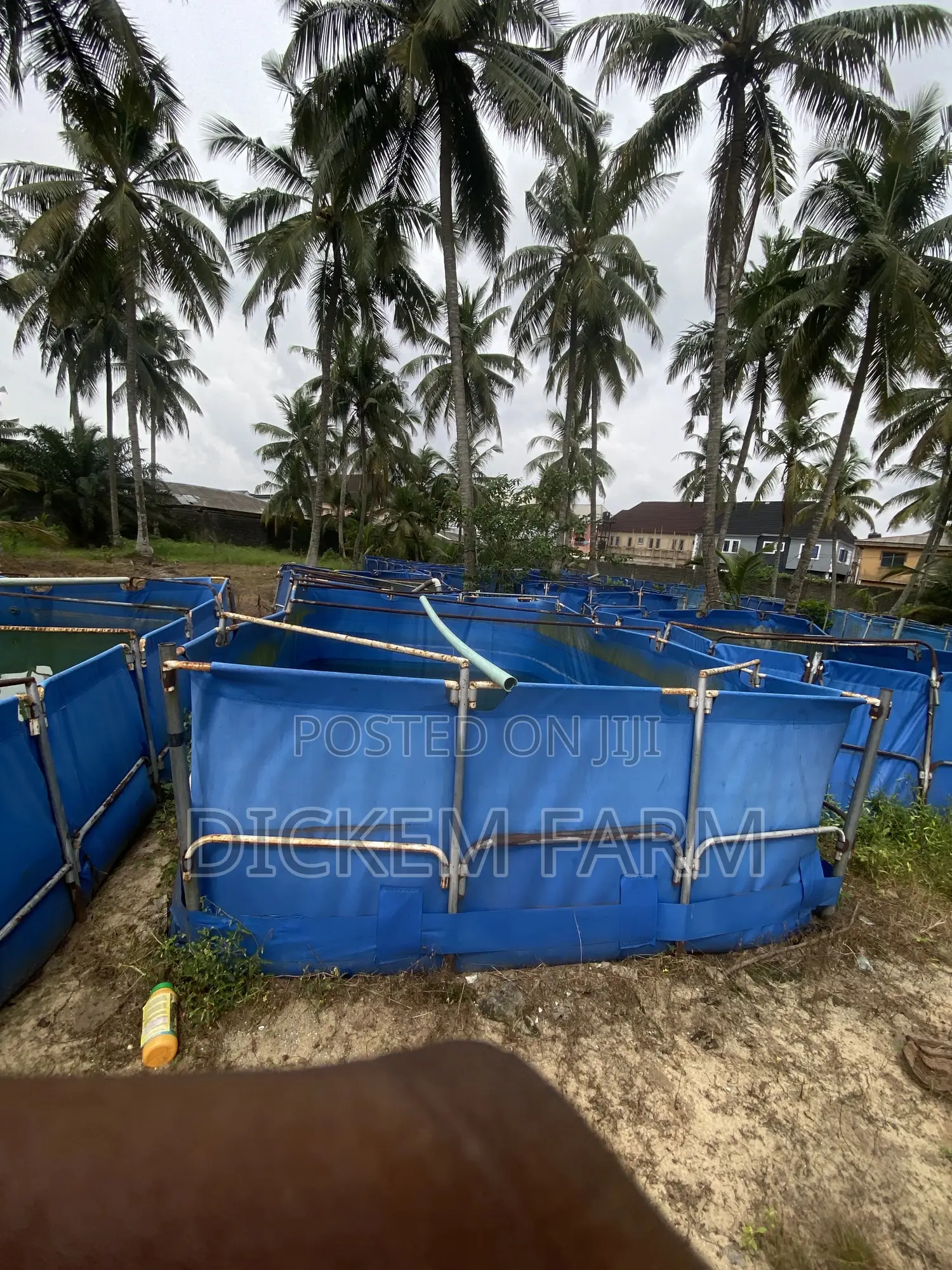 Mobile Fish Pond 9 X 15 Ft
