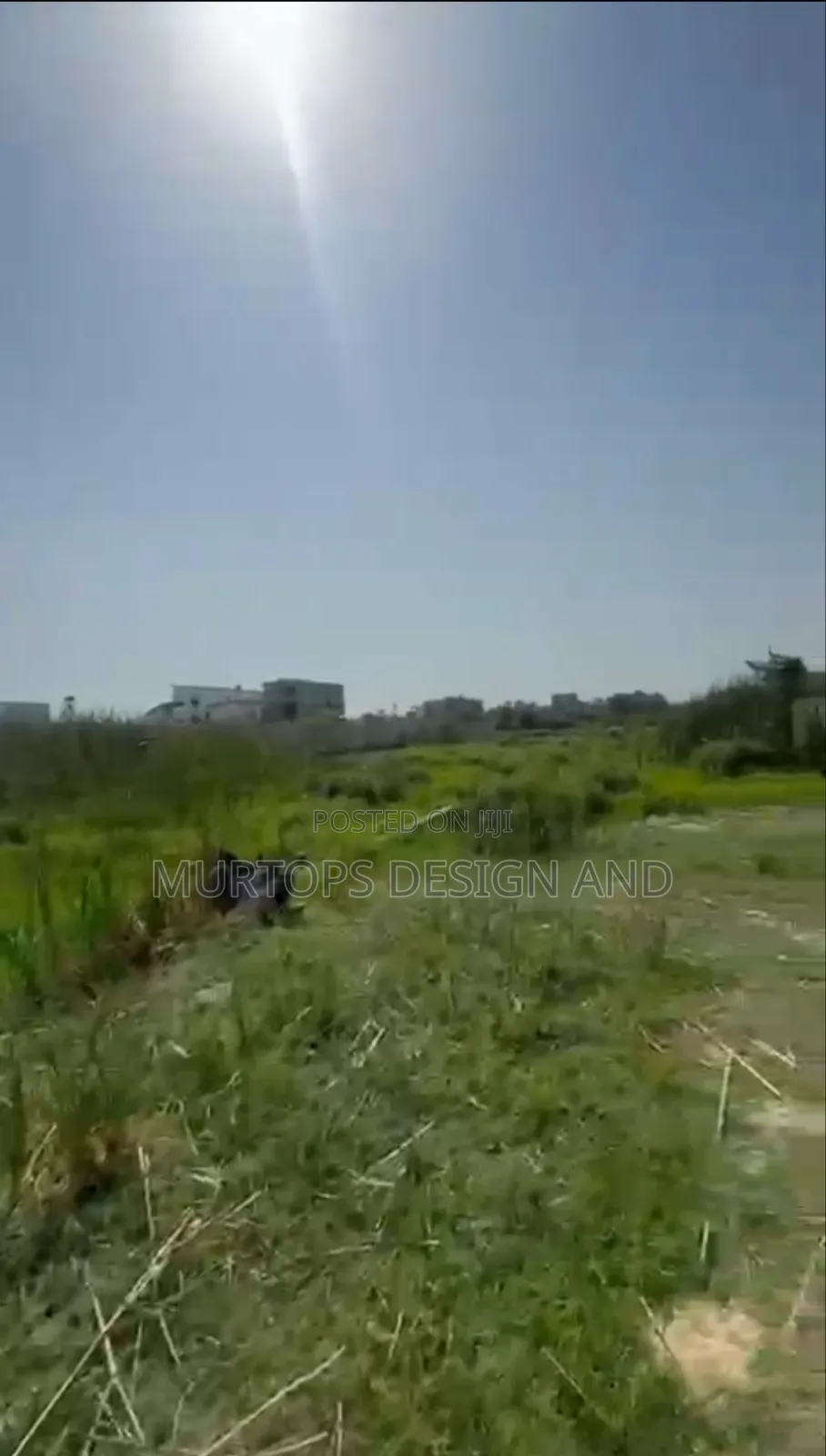 A 689 SQM Land Available in Orchid Road Very Accessible to Coaster Rd
