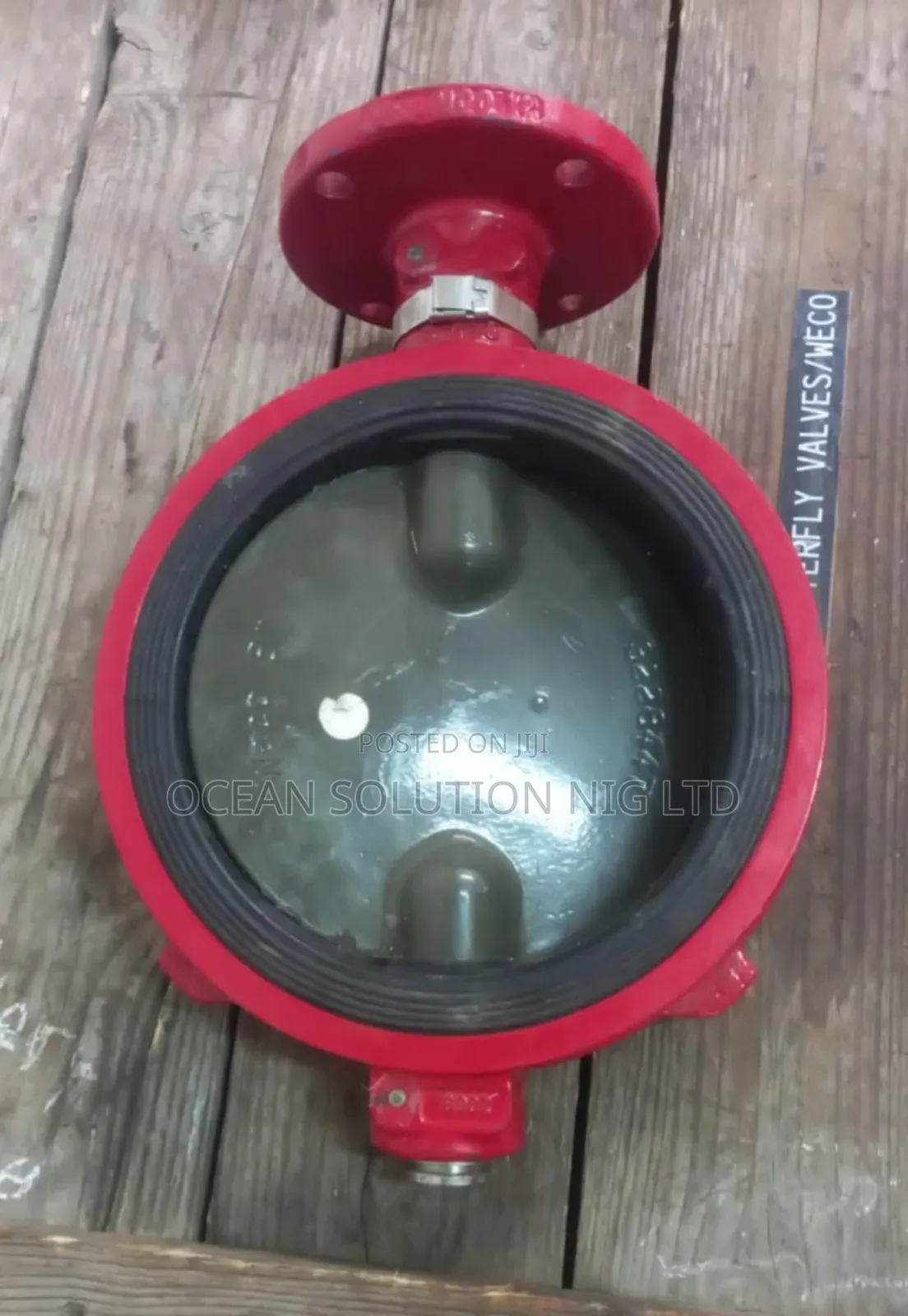 Stainless Tongue Butterfly Valve 10"