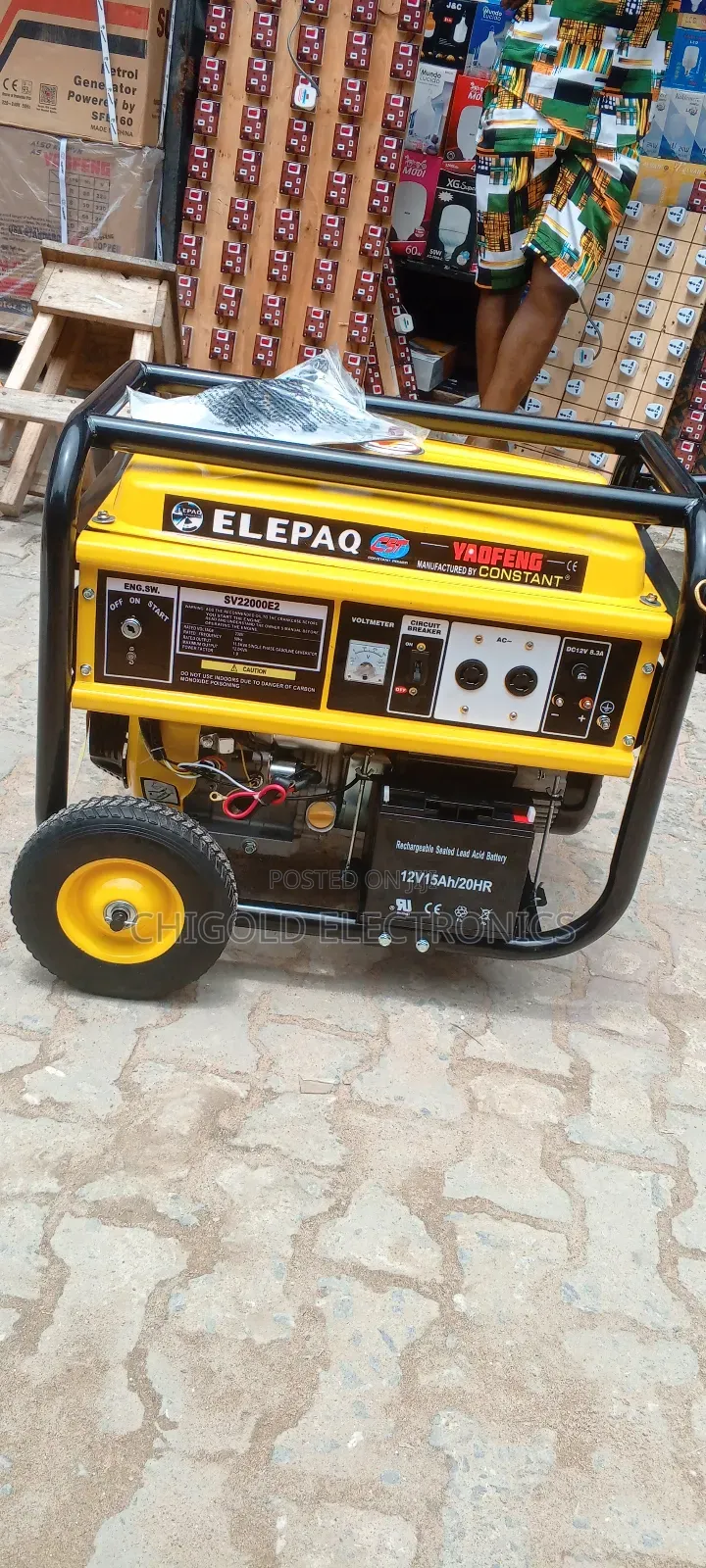 Original Elepaq Generator 100% Copper Coin Sv 22.000 12 Kva