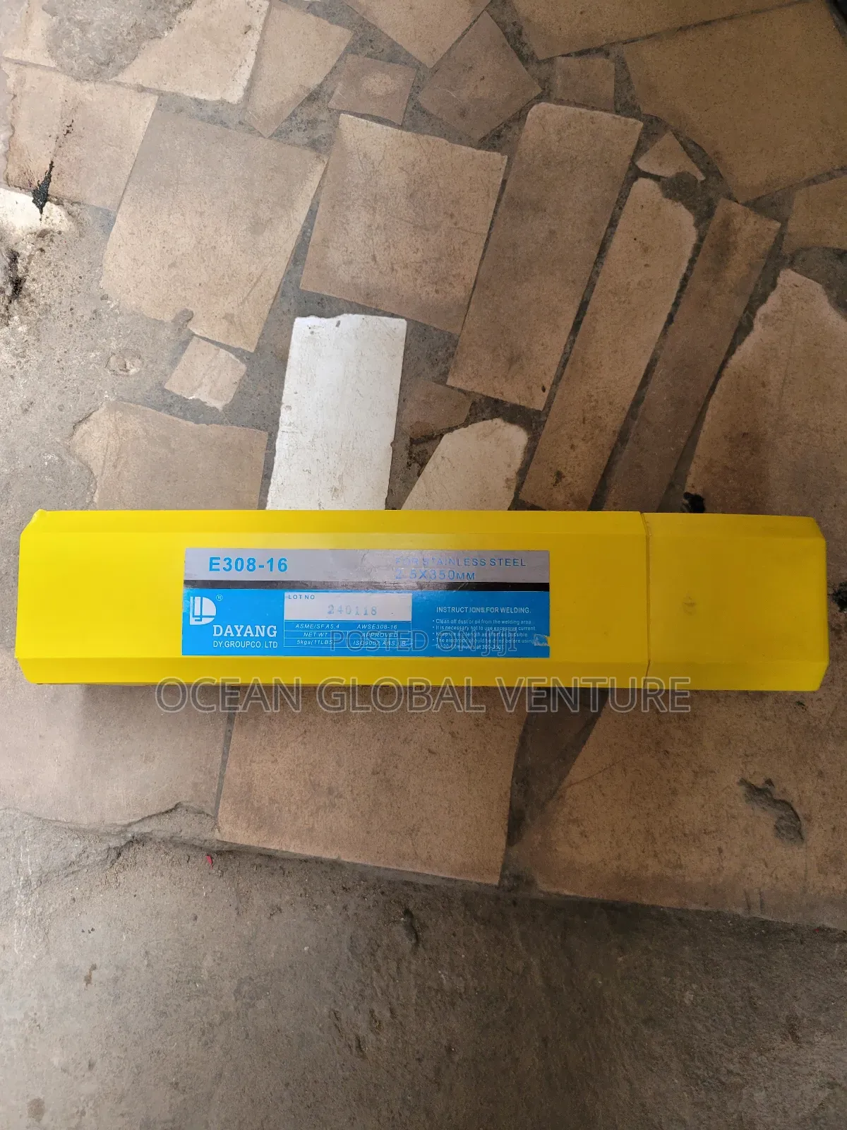 Stainless Electrode