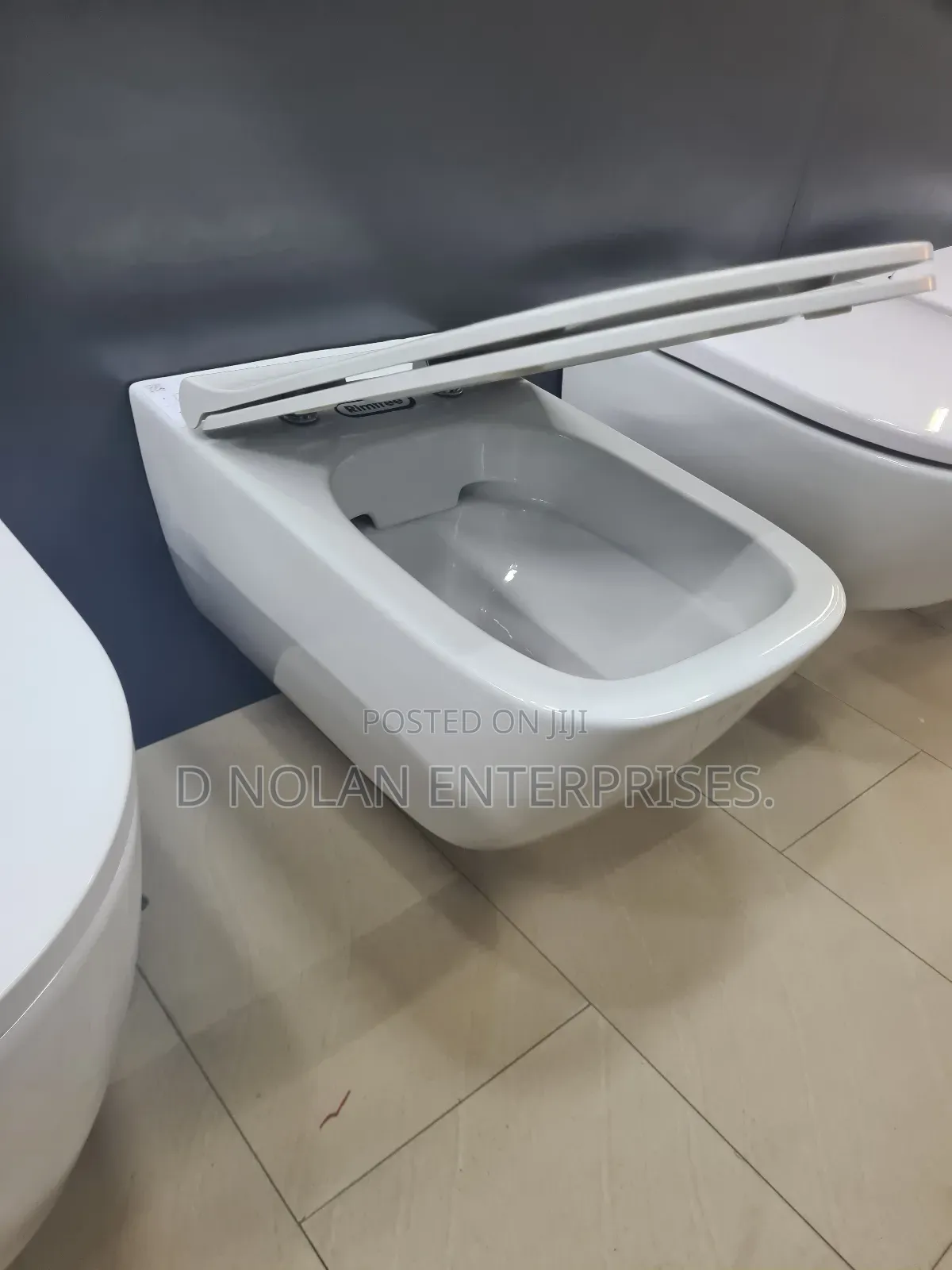 Geberit Wall-Hung Water Closet