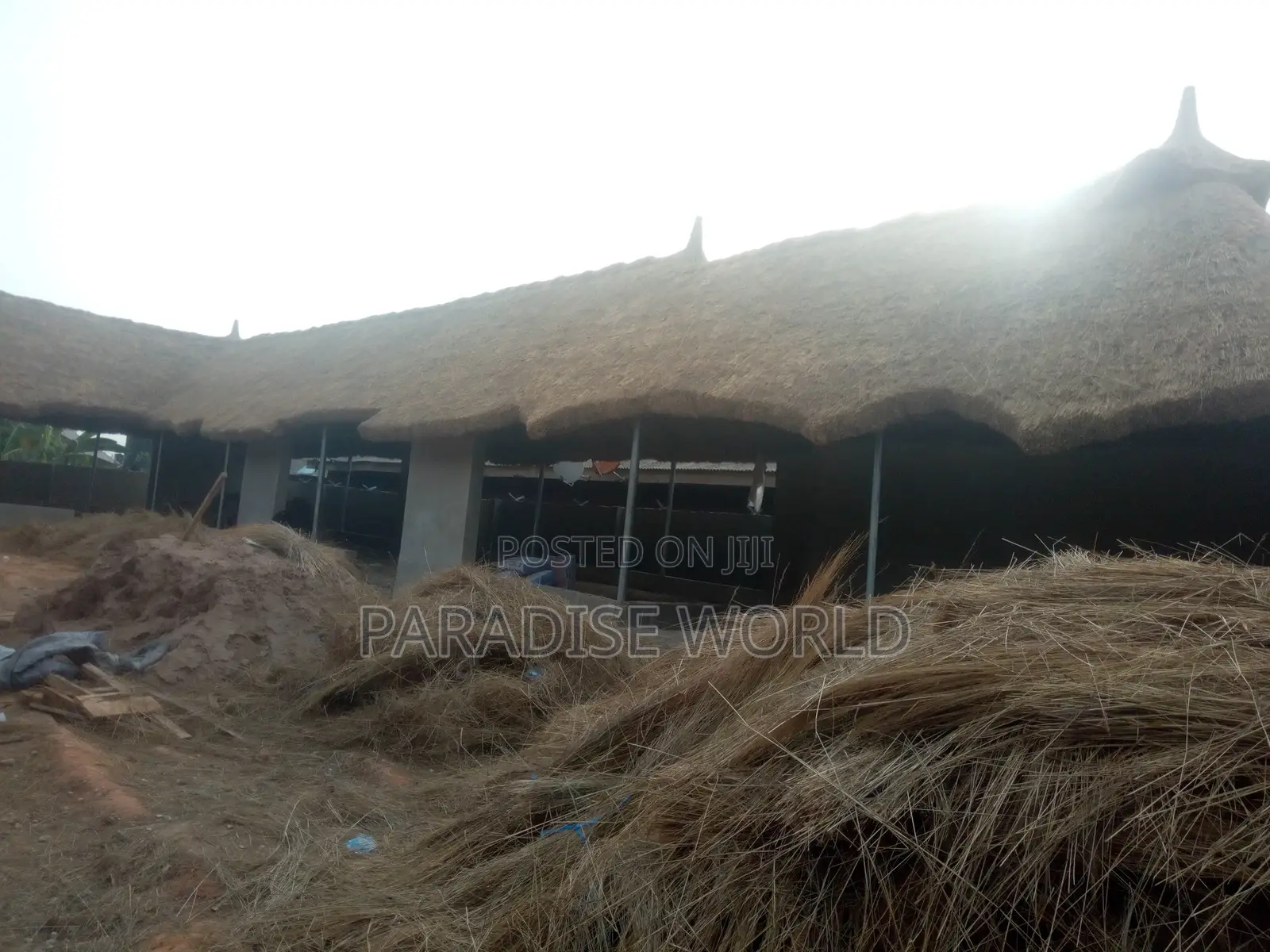 Thatch Grass