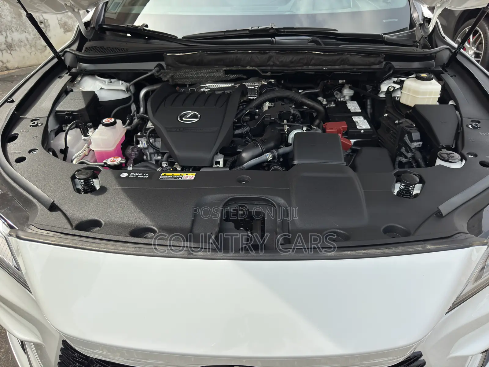 Lexus RX 350 F SPORT Handling AWD 2025 White