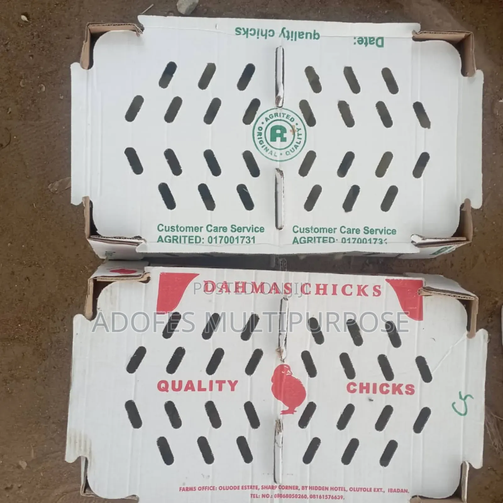 Local and Imported Turkey